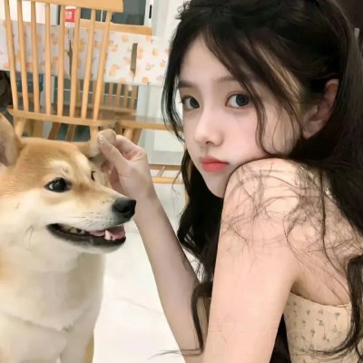 非来不可第三季